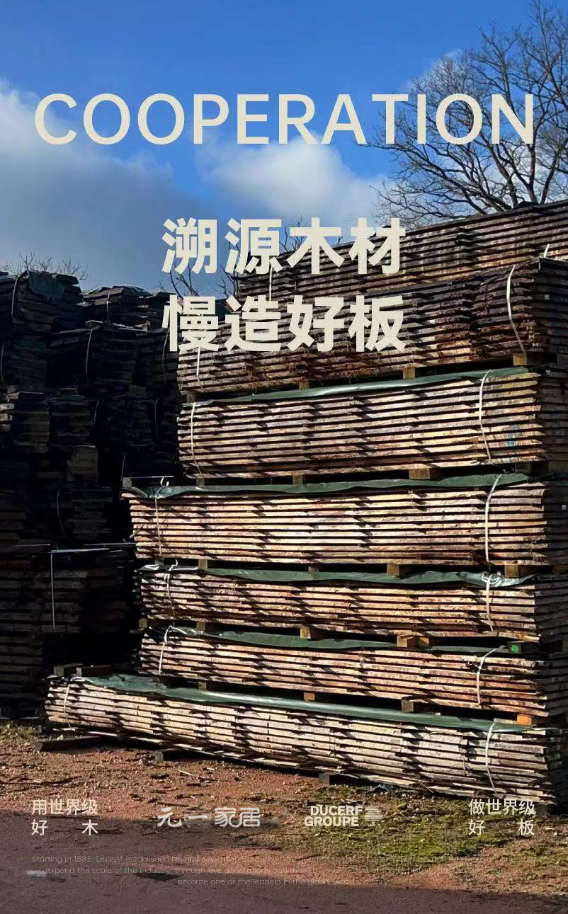 元一家居X法国杜瑟夫 | 溯源木材篇
