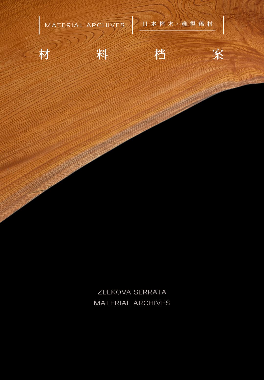 日本榉木|Zelkova Serrata